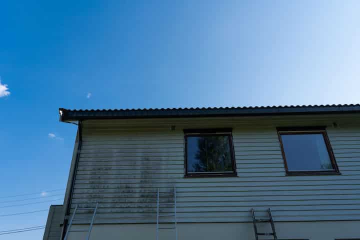 exterior mold removal services Braintree